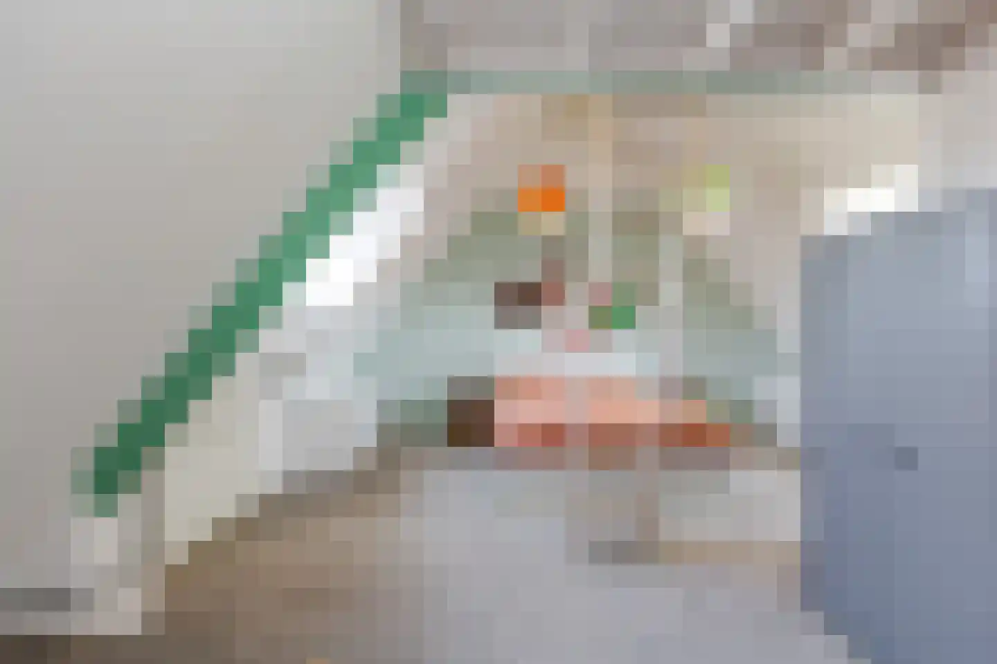 Zwartewaalsestraat 54 A Schiedam thumbnail 33
