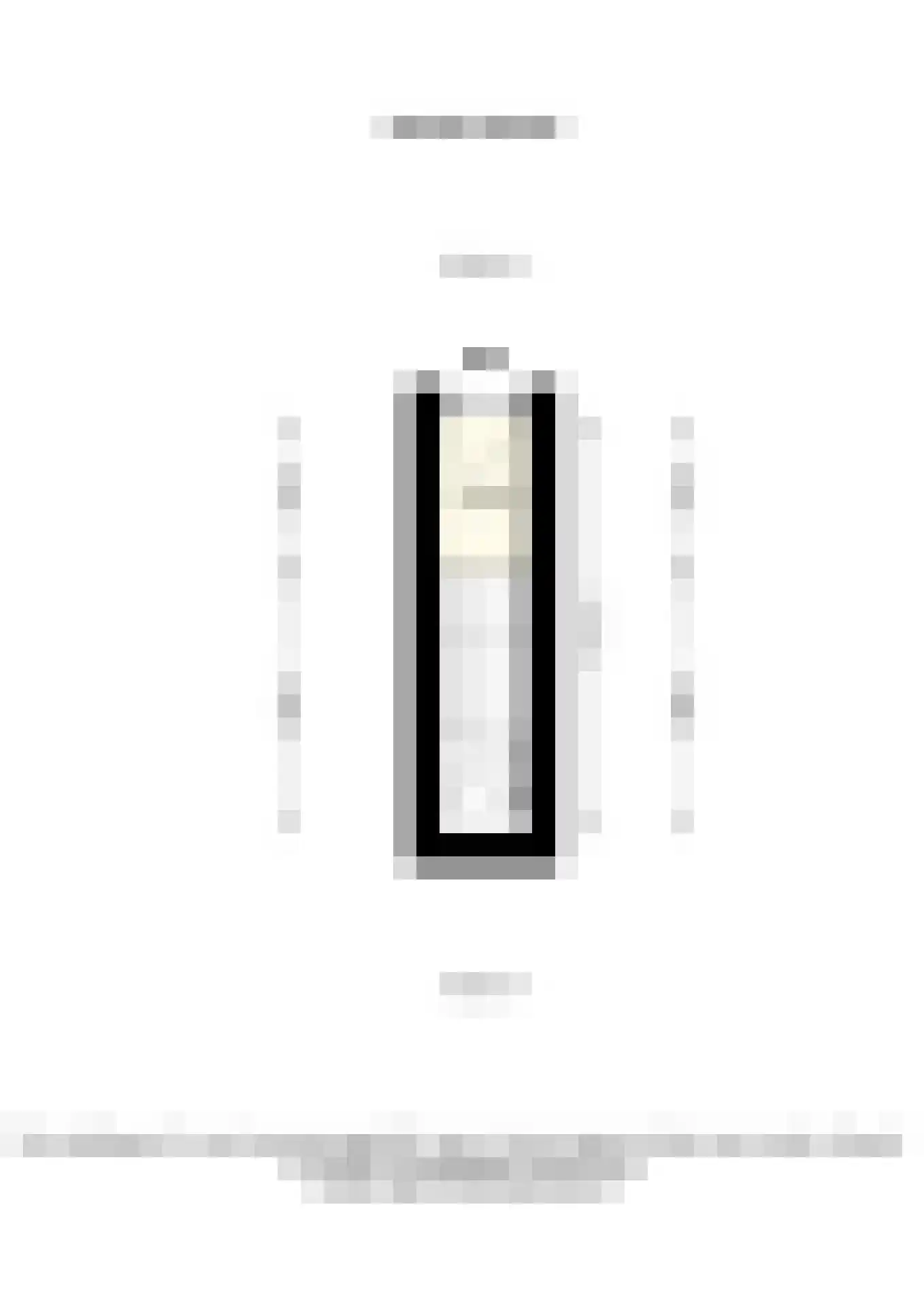Zwartewaalsestraat 54 A Schiedam thumbnail 40