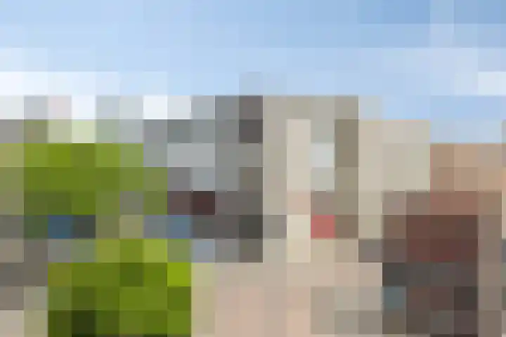Zwartewaalstraat 37 Rotterdam thumbnail 18