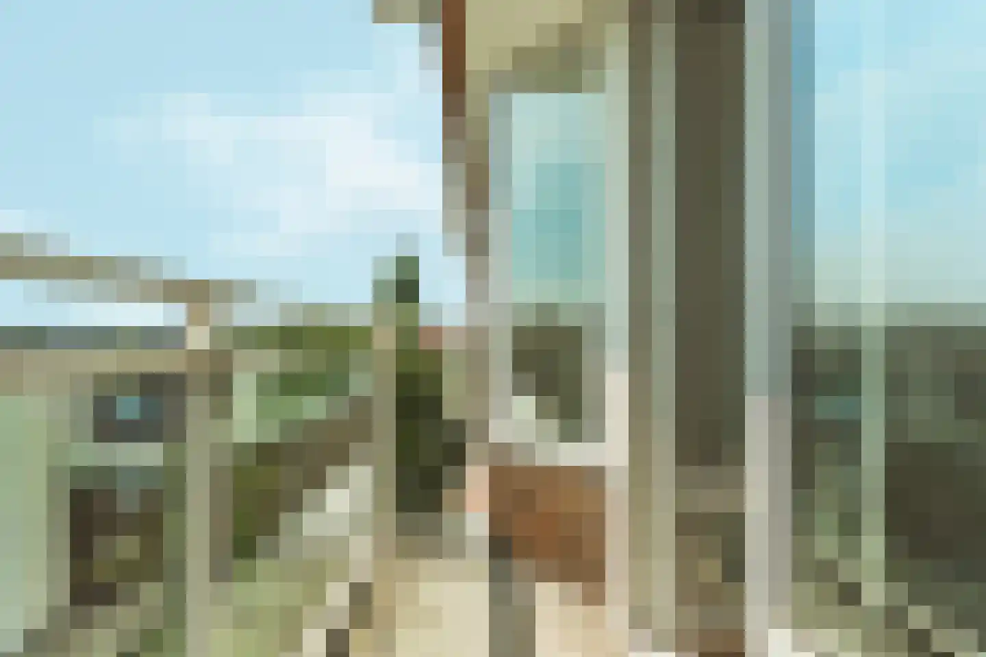 Zwartewaalstraat 63 Rotterdam thumbnail 19