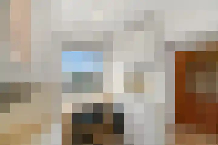 Zwartewaalstraat 91 Rotterdam thumbnail 10