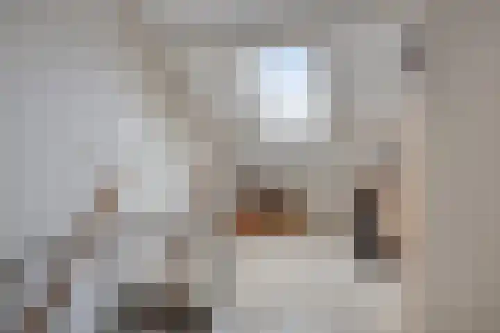 Zwartewater 20 Emmeloord thumbnail 21