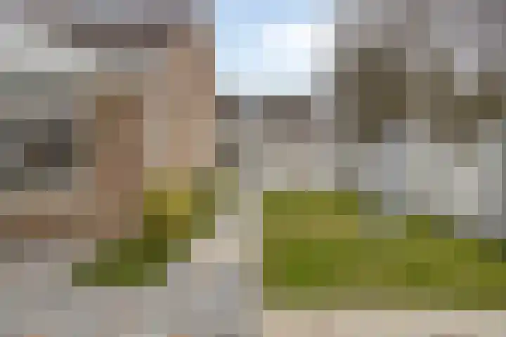 Zwartewater 20 Emmeloord thumbnail 28
