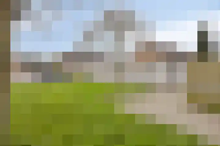Zwartewater 20 Emmeloord thumbnail 31