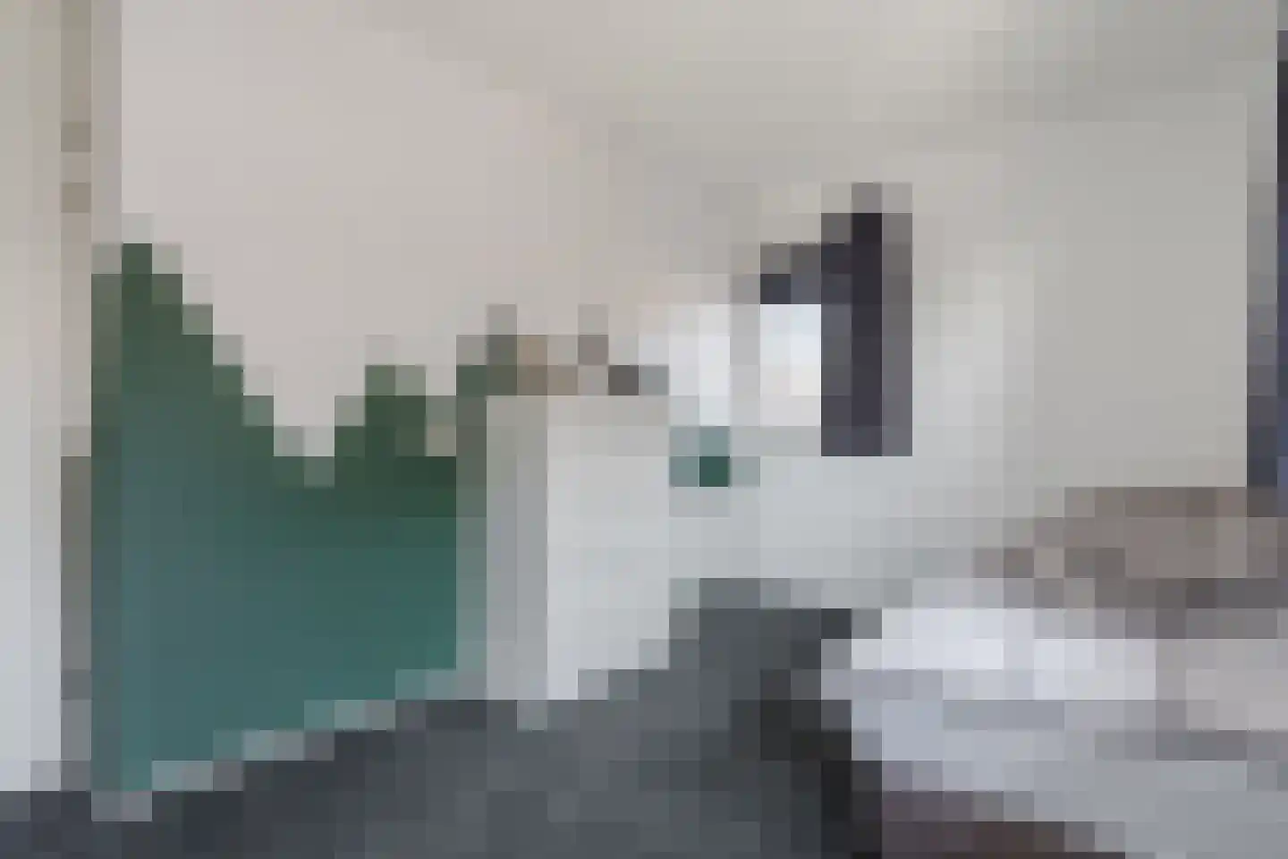 Zwartewaterland 14 Nieuwleusen thumbnail 23