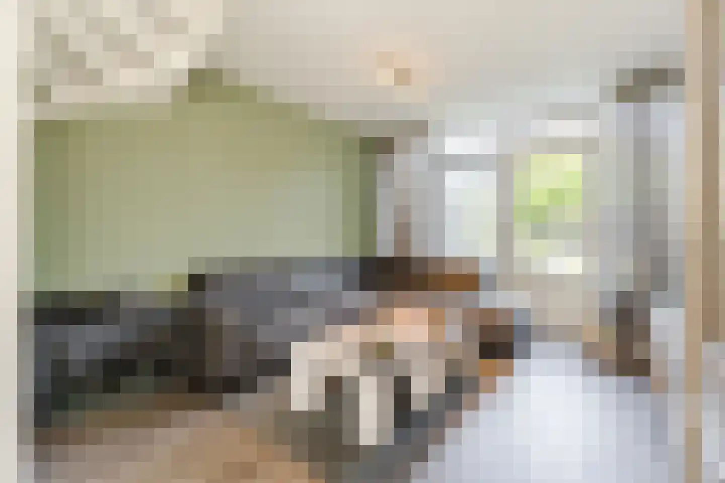Zwartewaterland 14 Nieuwleusen thumbnail 5