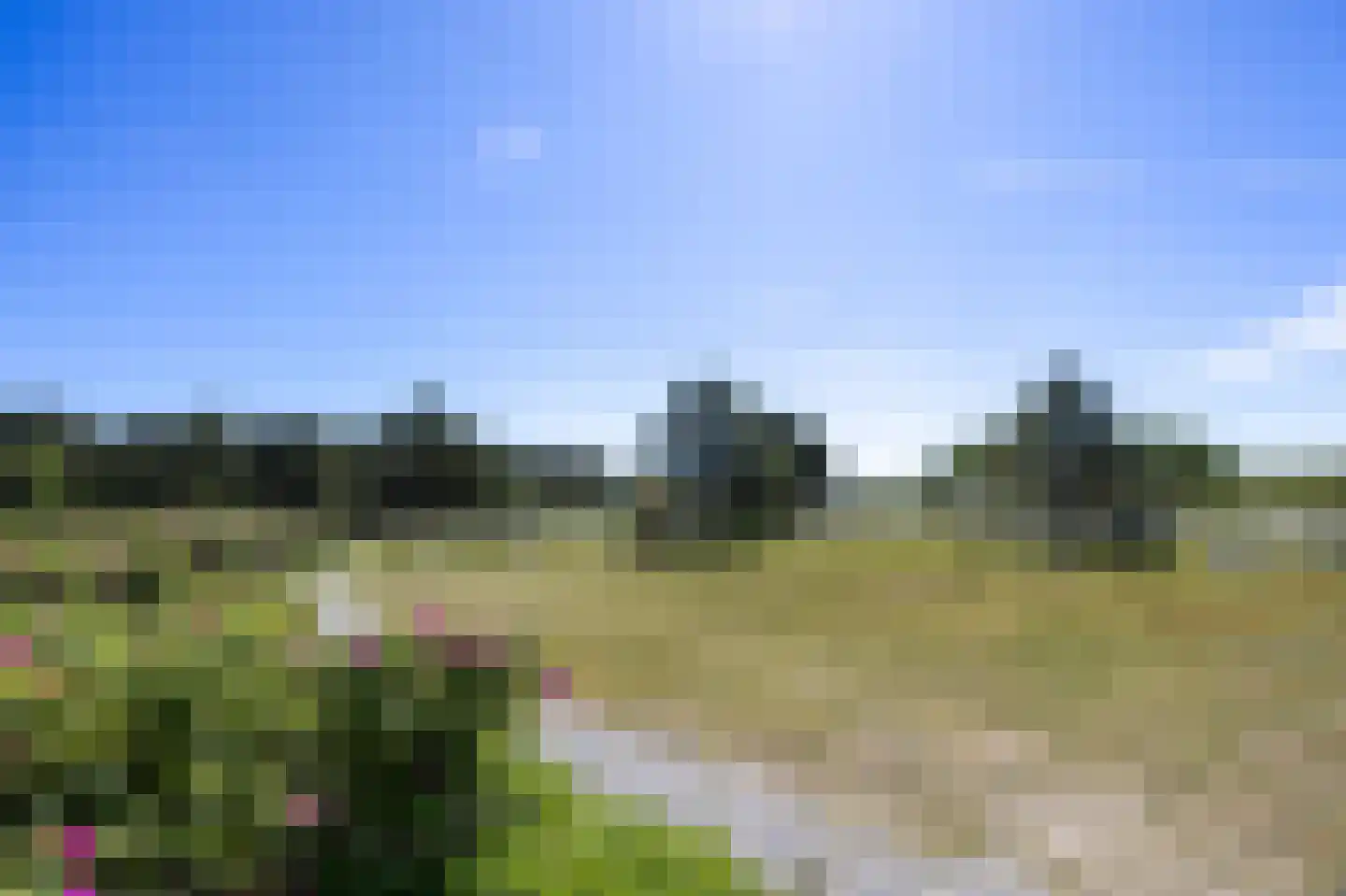Zwarteweg 1 011 Buren thumbnail 18