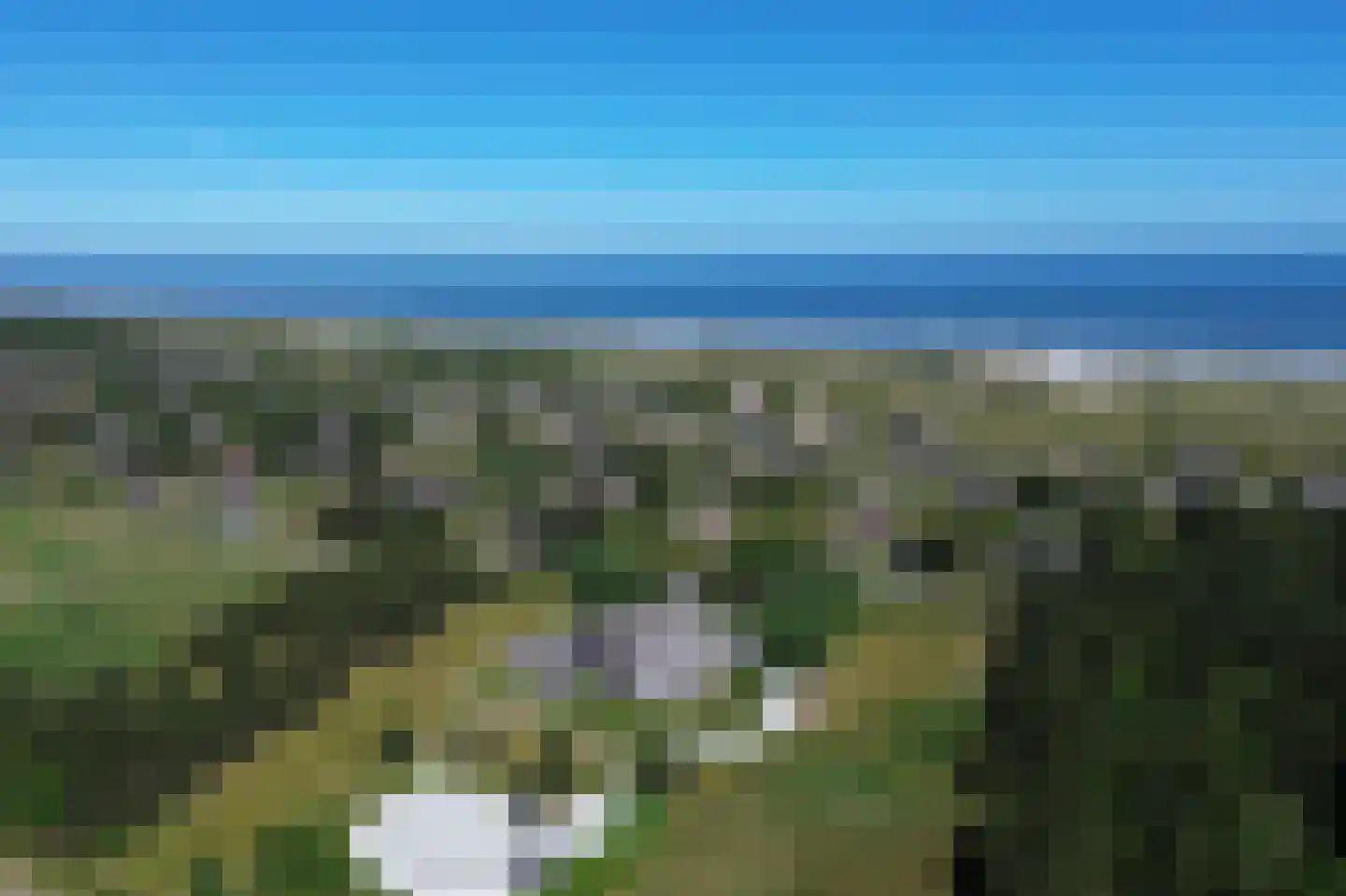 Zwarteweg 1 011 Buren thumbnail 20