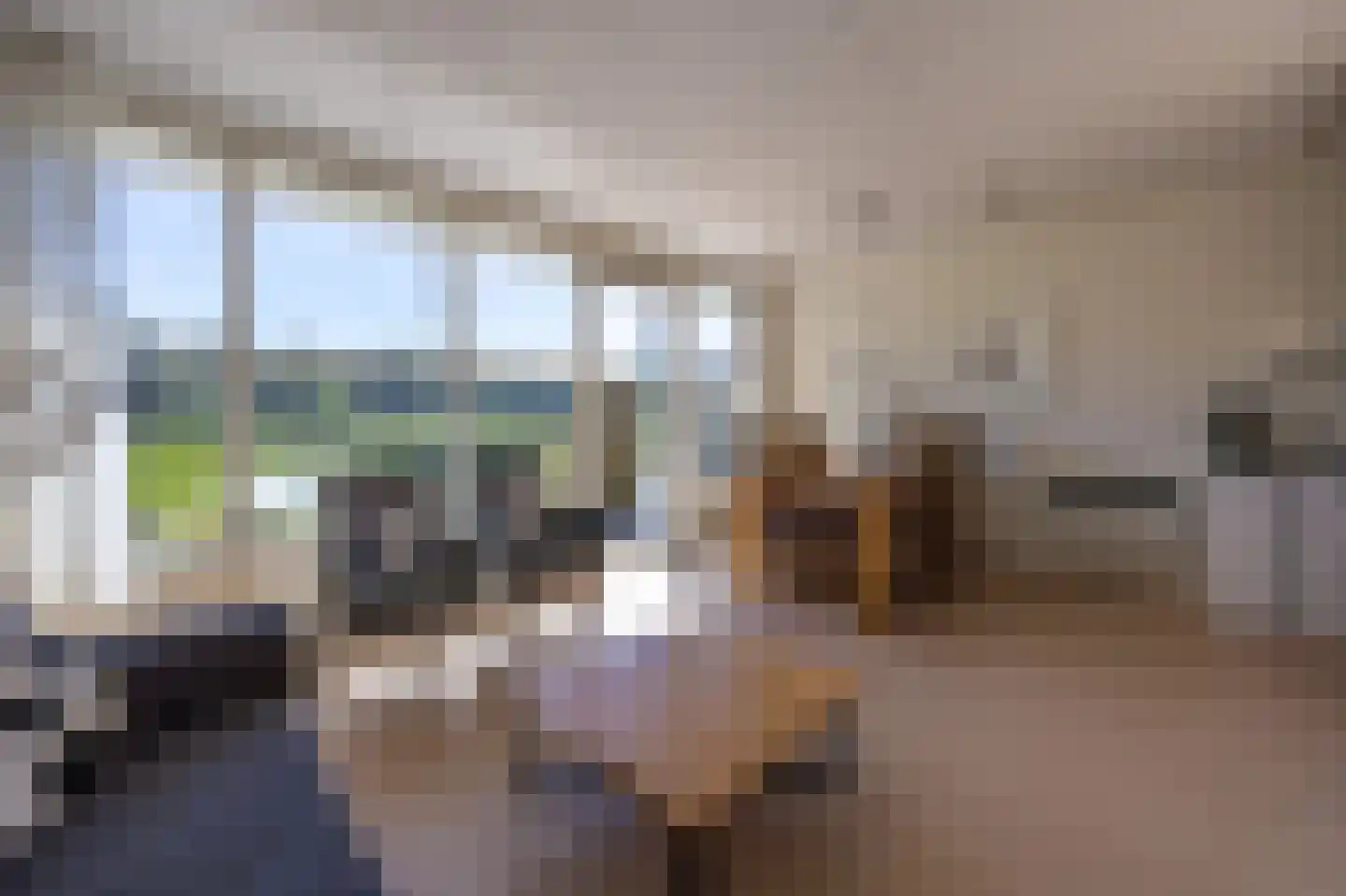Zwarteweg 1 011 Buren thumbnail 5