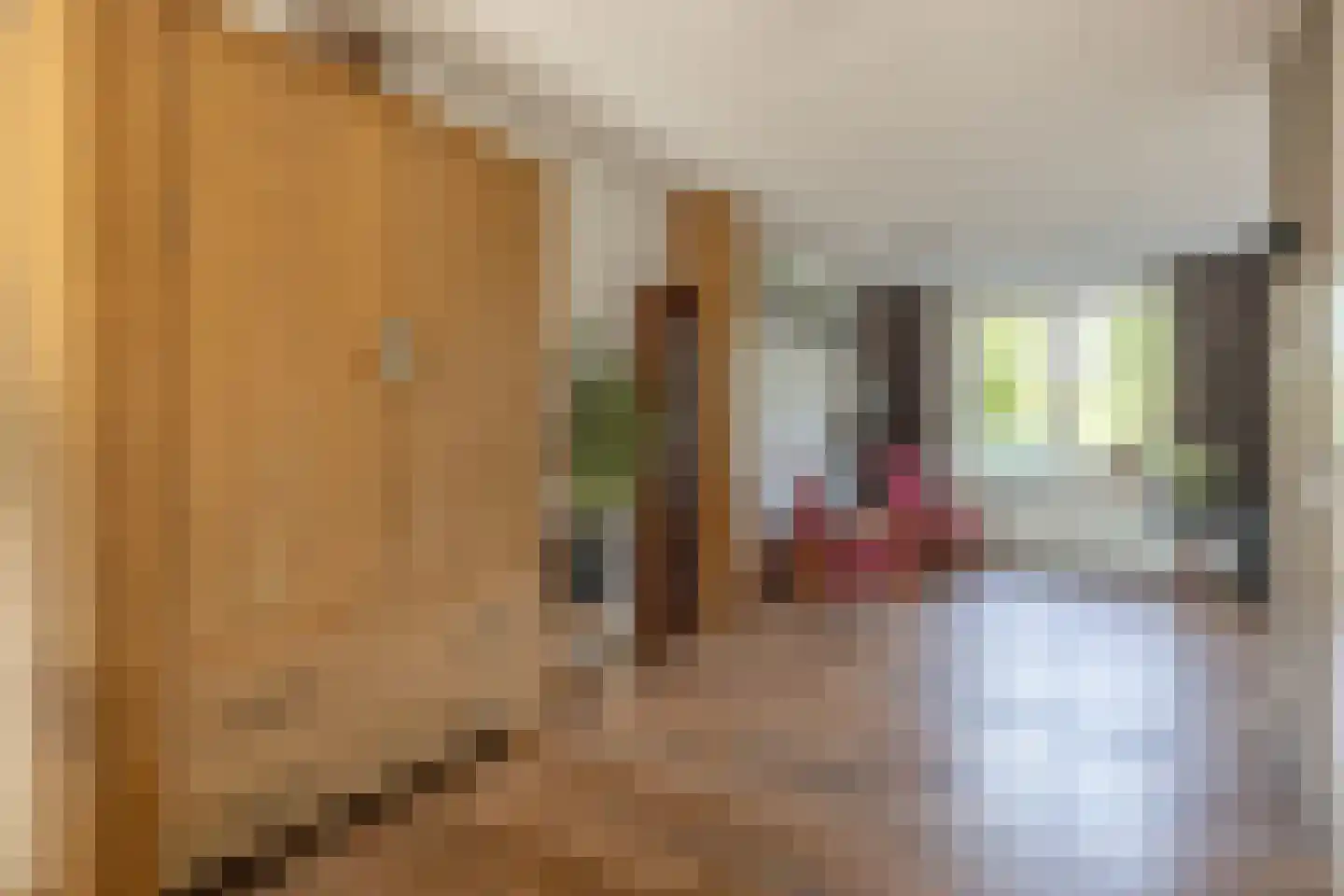 Zwarteweg 1 A Koudum thumbnail 16