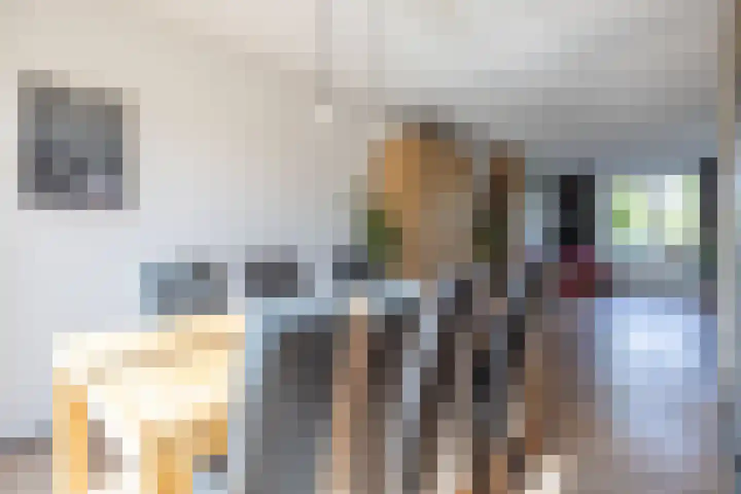 Zwarteweg 1 A Koudum thumbnail 18