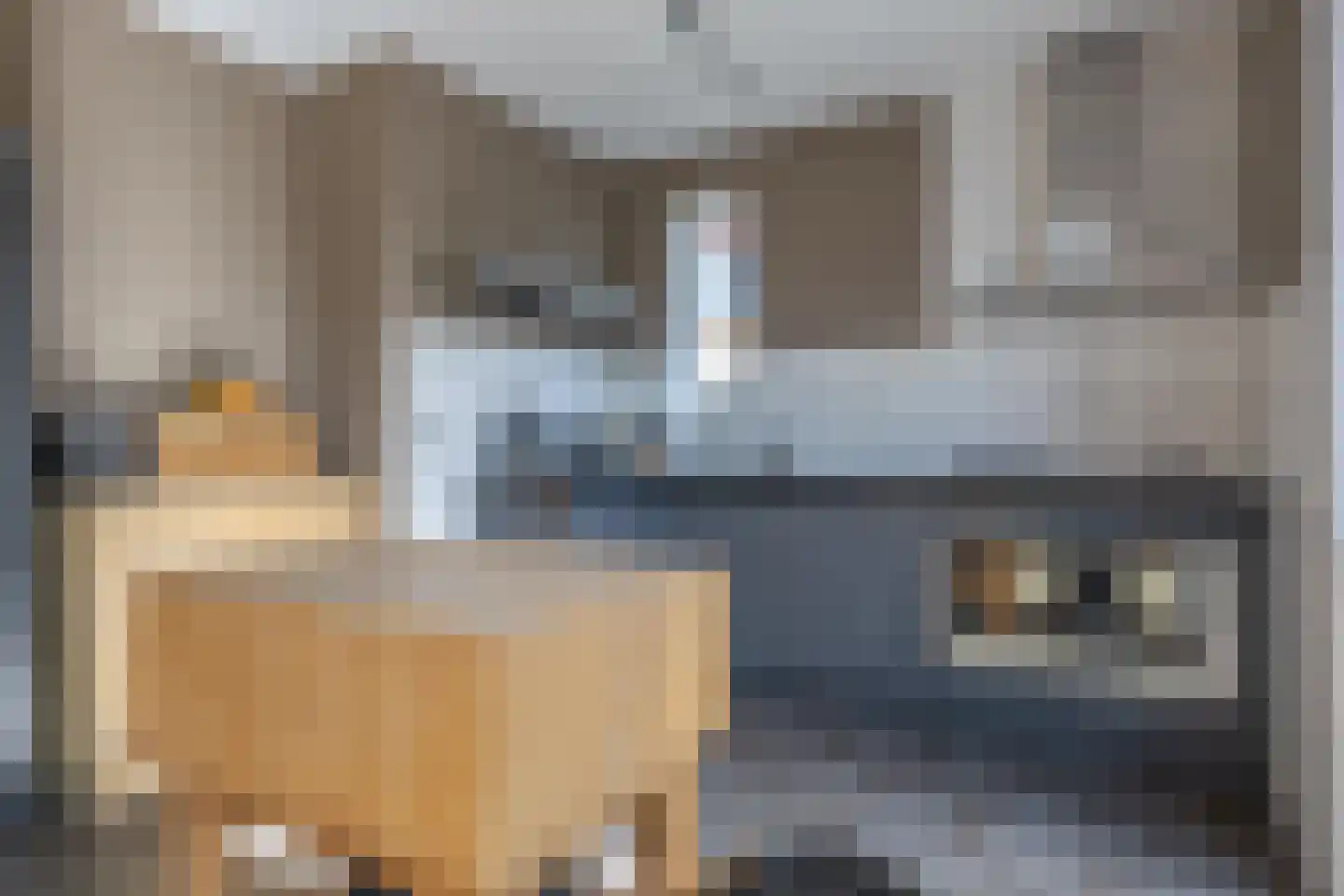 Zwarteweg 1 A Koudum thumbnail 21