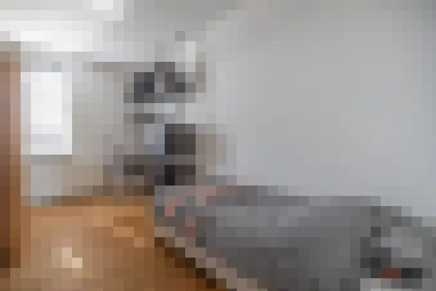 Zwarteweg 1 A Koudum thumbnail 28