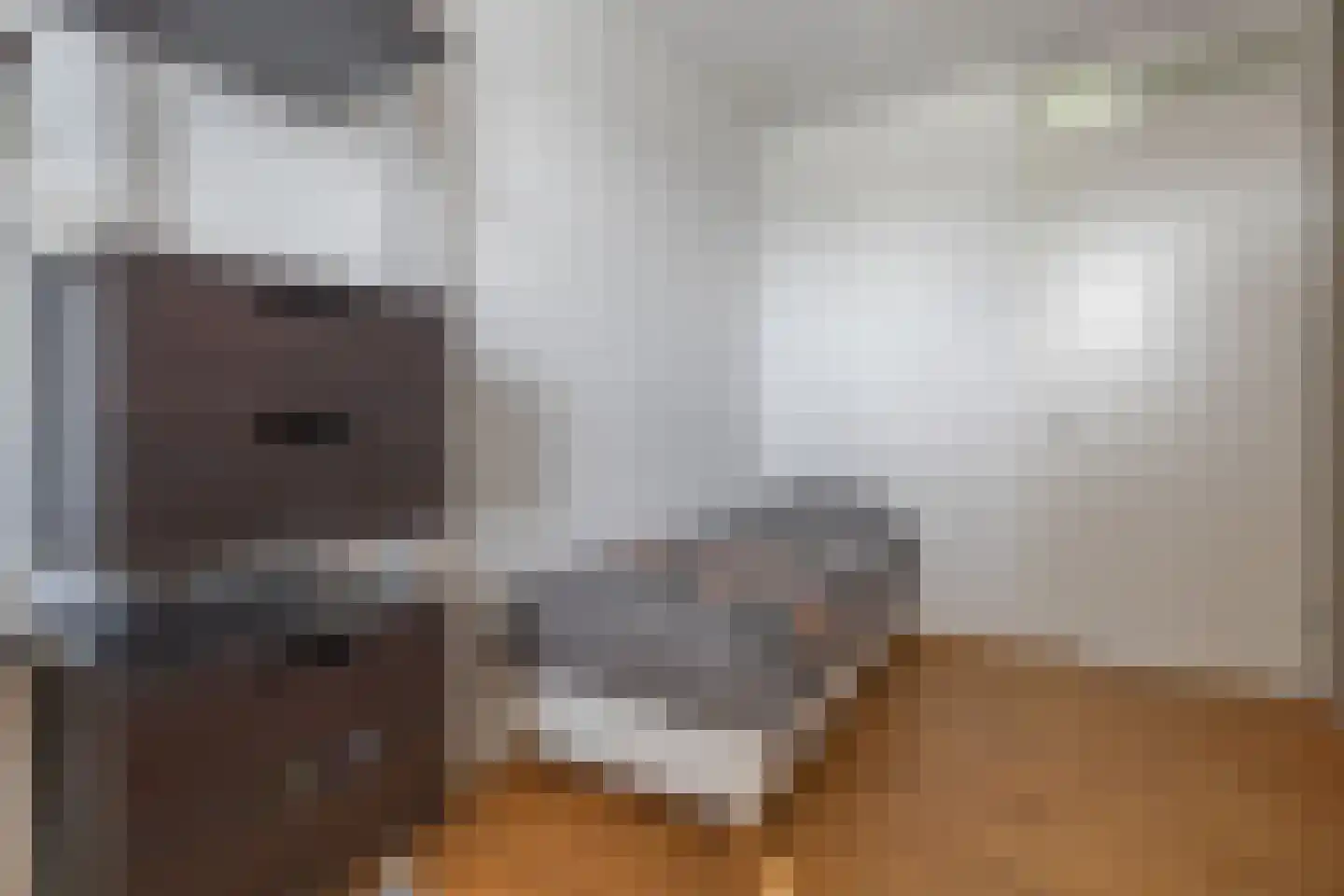Zwarteweg 1 A Koudum thumbnail 30