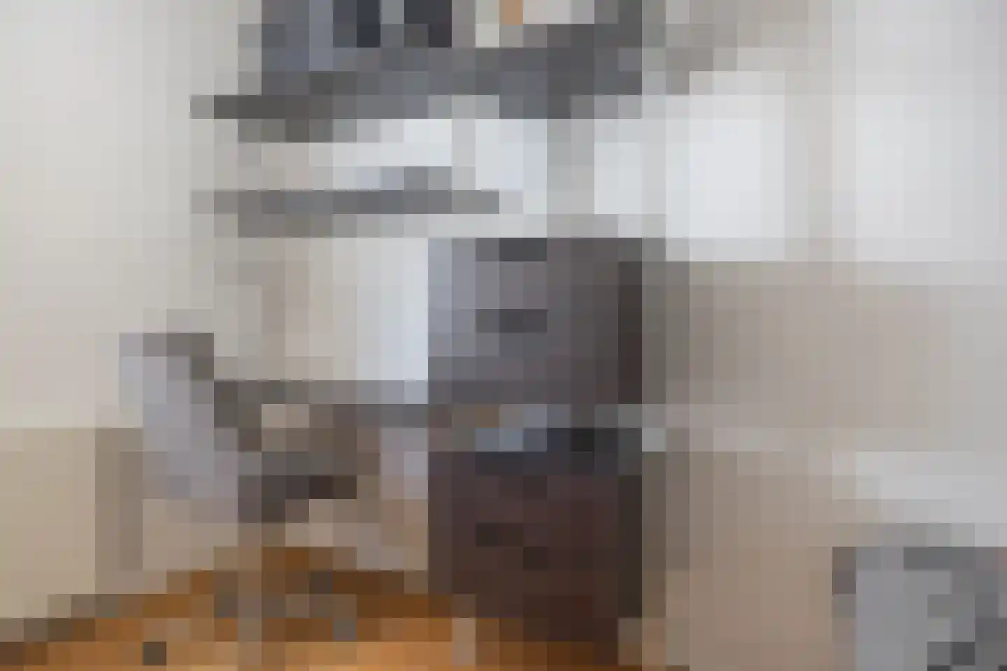 Zwarteweg 1 A Koudum thumbnail 31