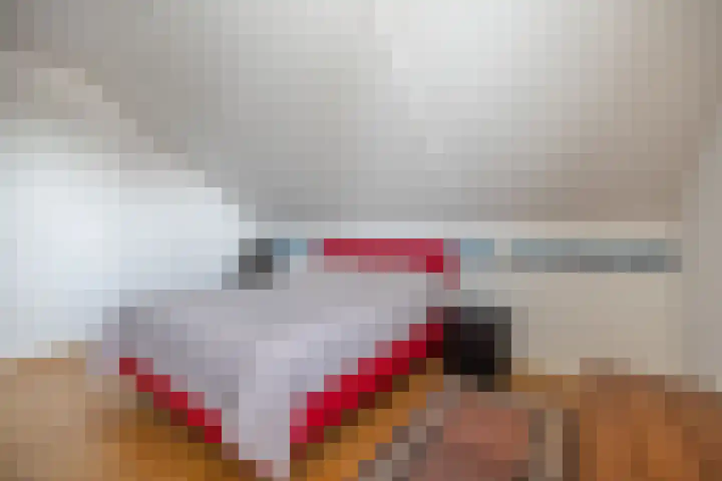 Zwarteweg 1 A Koudum thumbnail 36