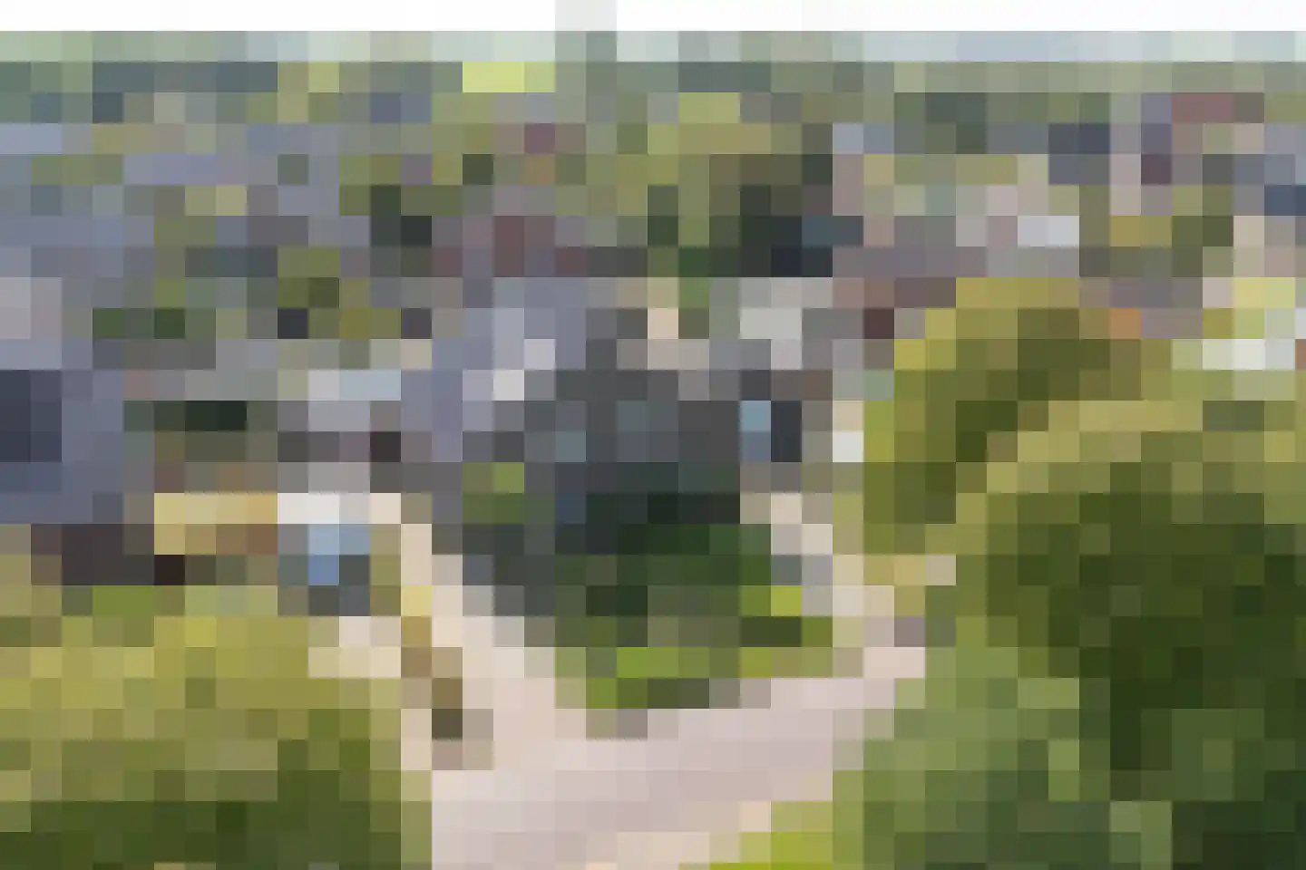 Zwarteweg 1 A Koudum thumbnail 4