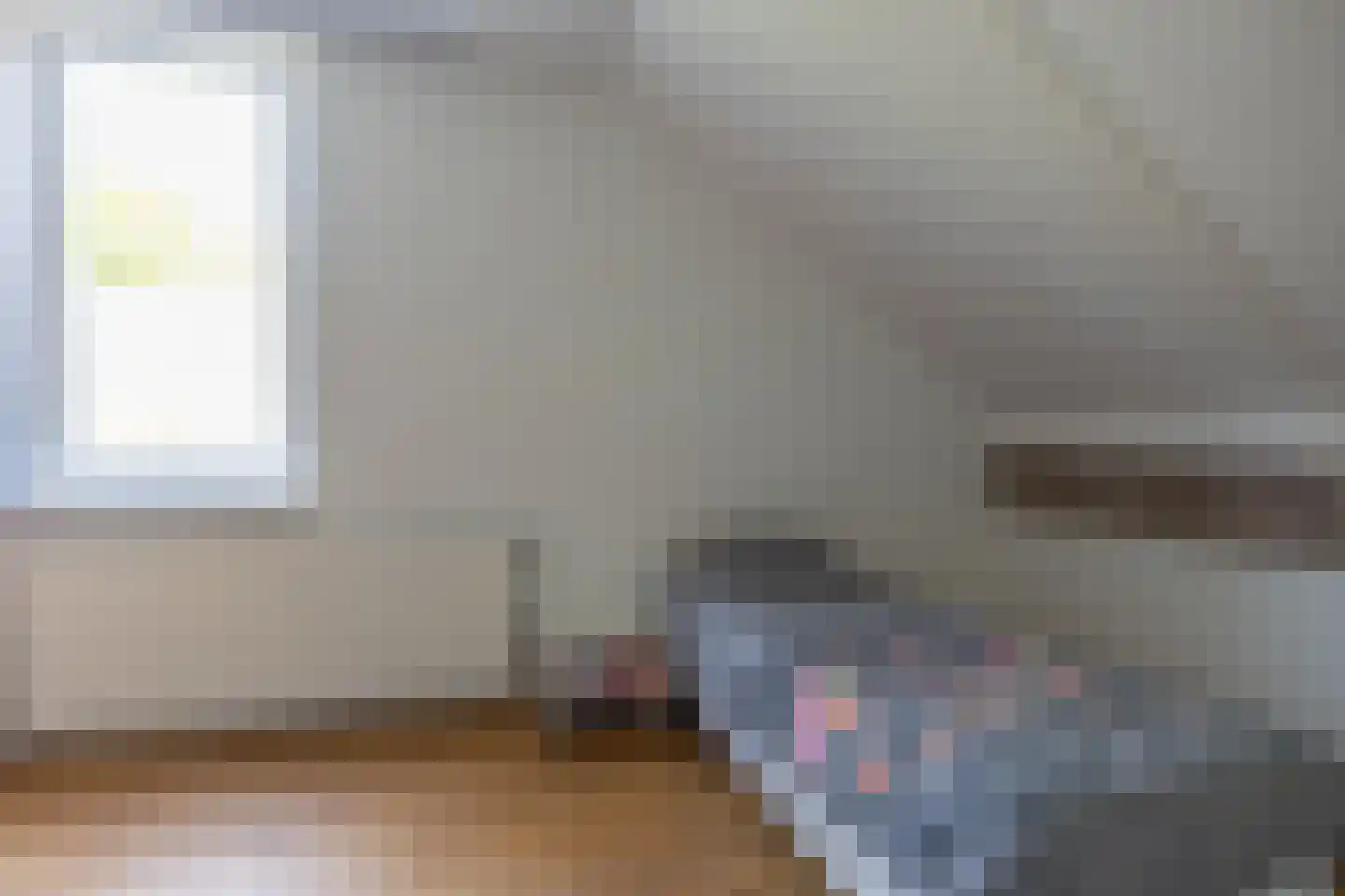 Zwarteweg 1 A Koudum thumbnail 40