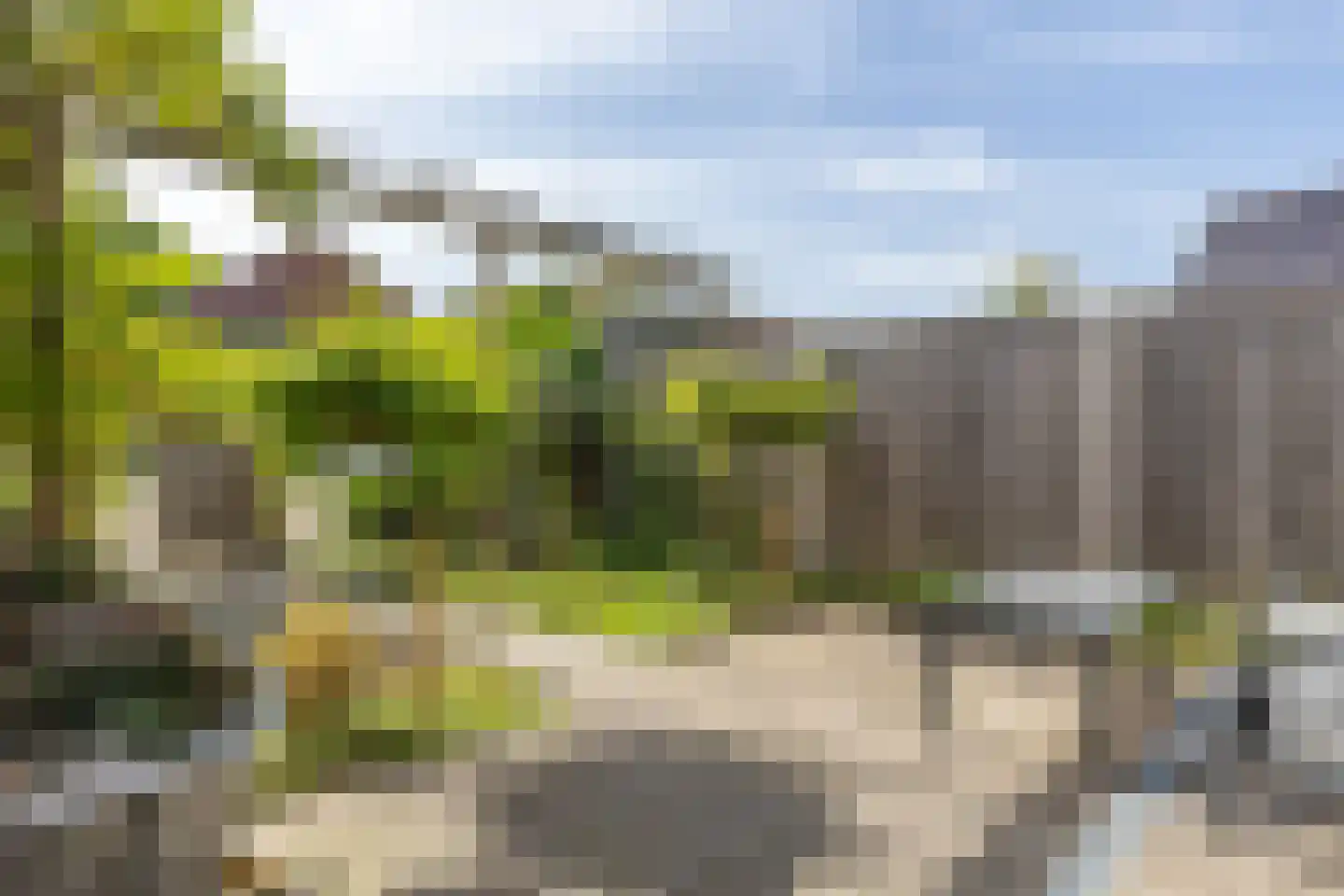 Zwarteweg 1 A Koudum thumbnail 48