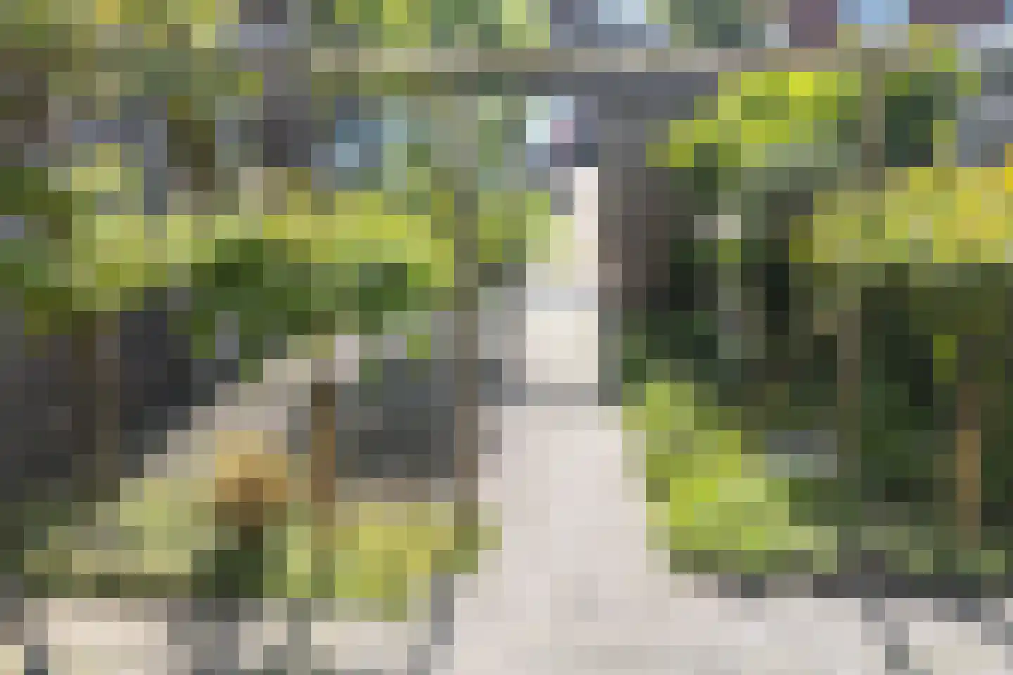 Zwarteweg 1 A Koudum thumbnail 5