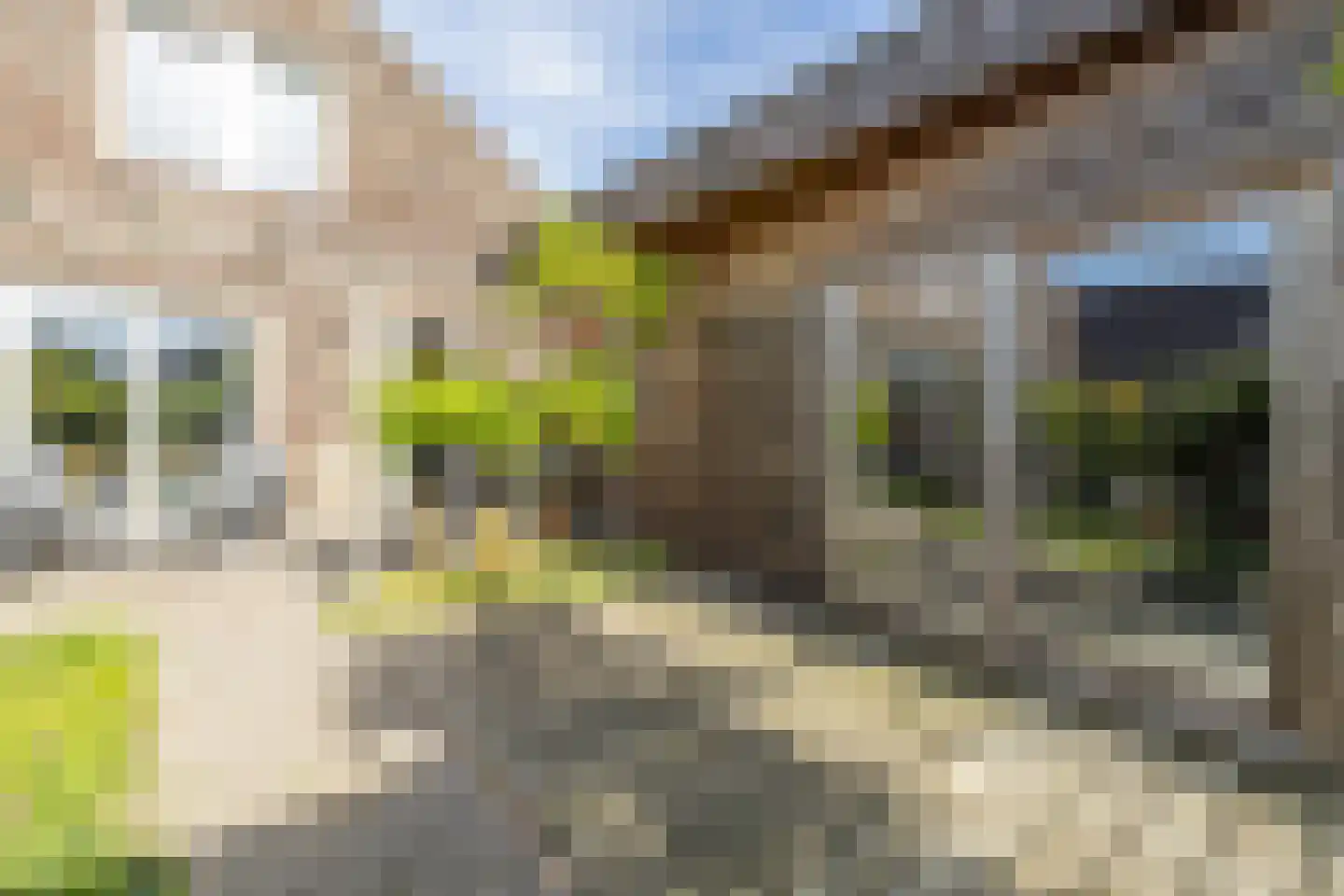 Zwarteweg 1 A Koudum thumbnail 51