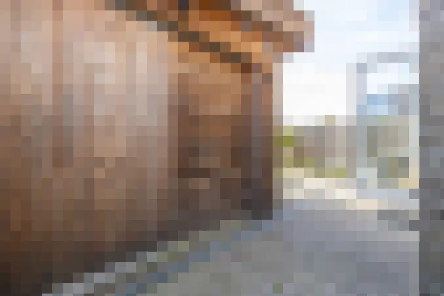 Zwarteweg 1 A Koudum thumbnail 52