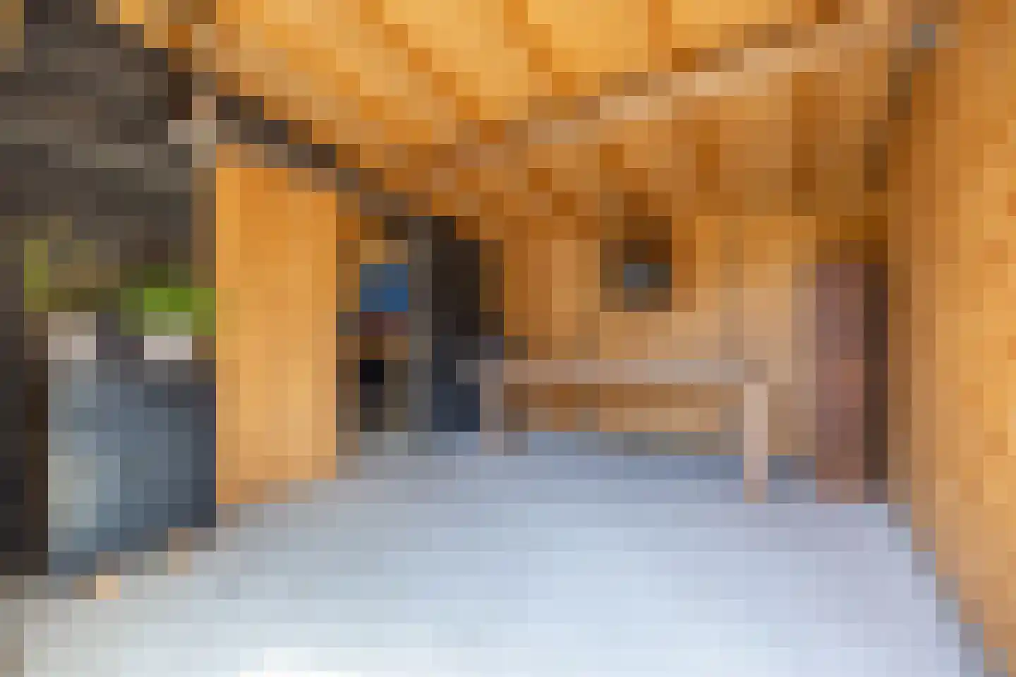Zwarteweg 1 A Koudum thumbnail 53