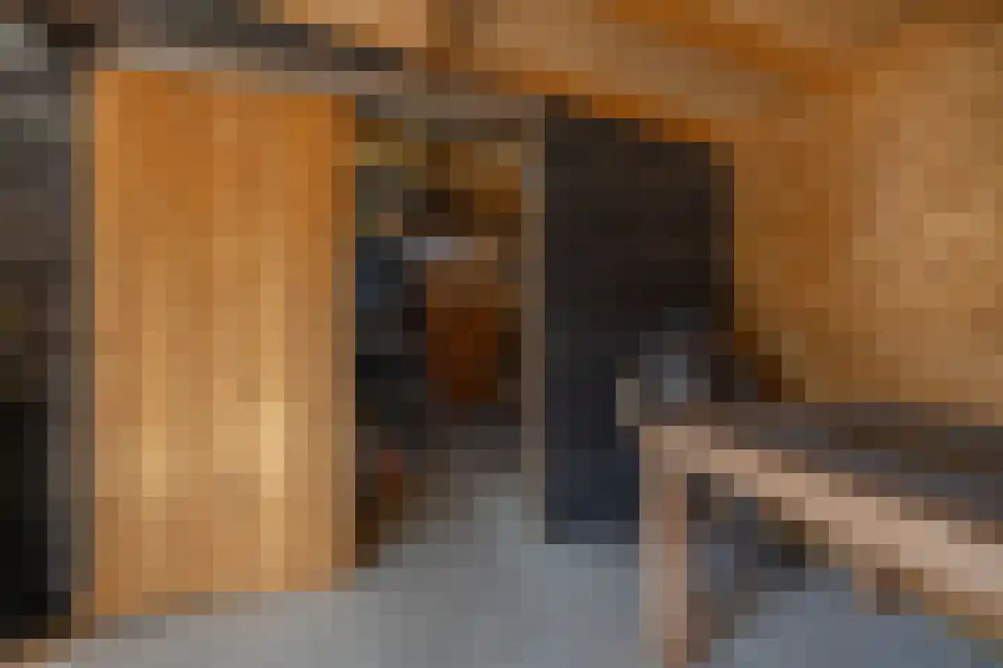 Zwarteweg 1 A Koudum thumbnail 54