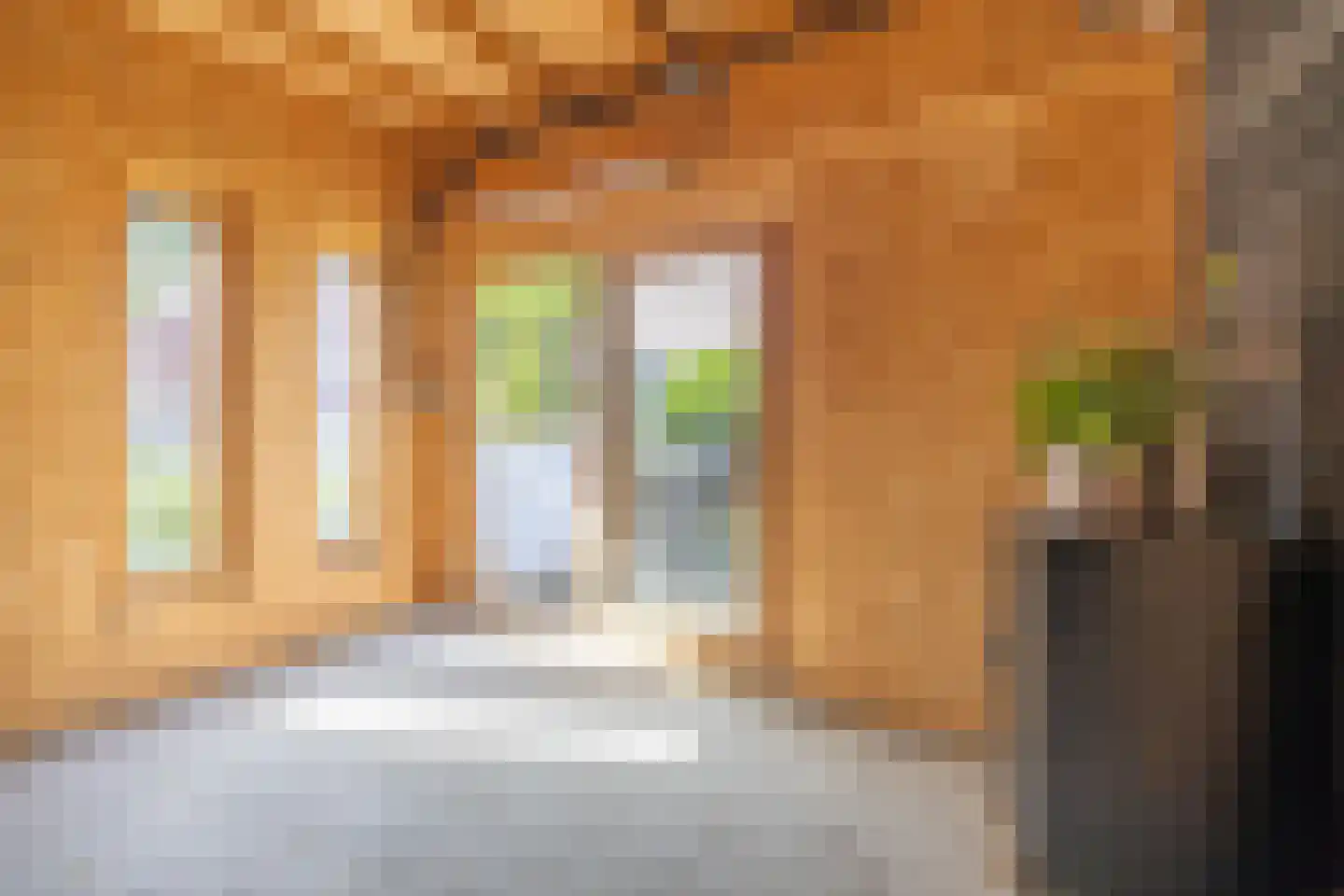 Zwarteweg 1 A Koudum thumbnail 55