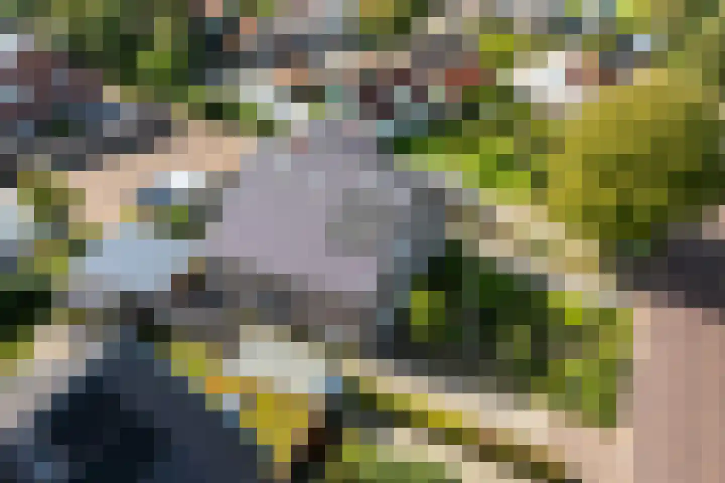 Zwarteweg 1 A Koudum thumbnail 61