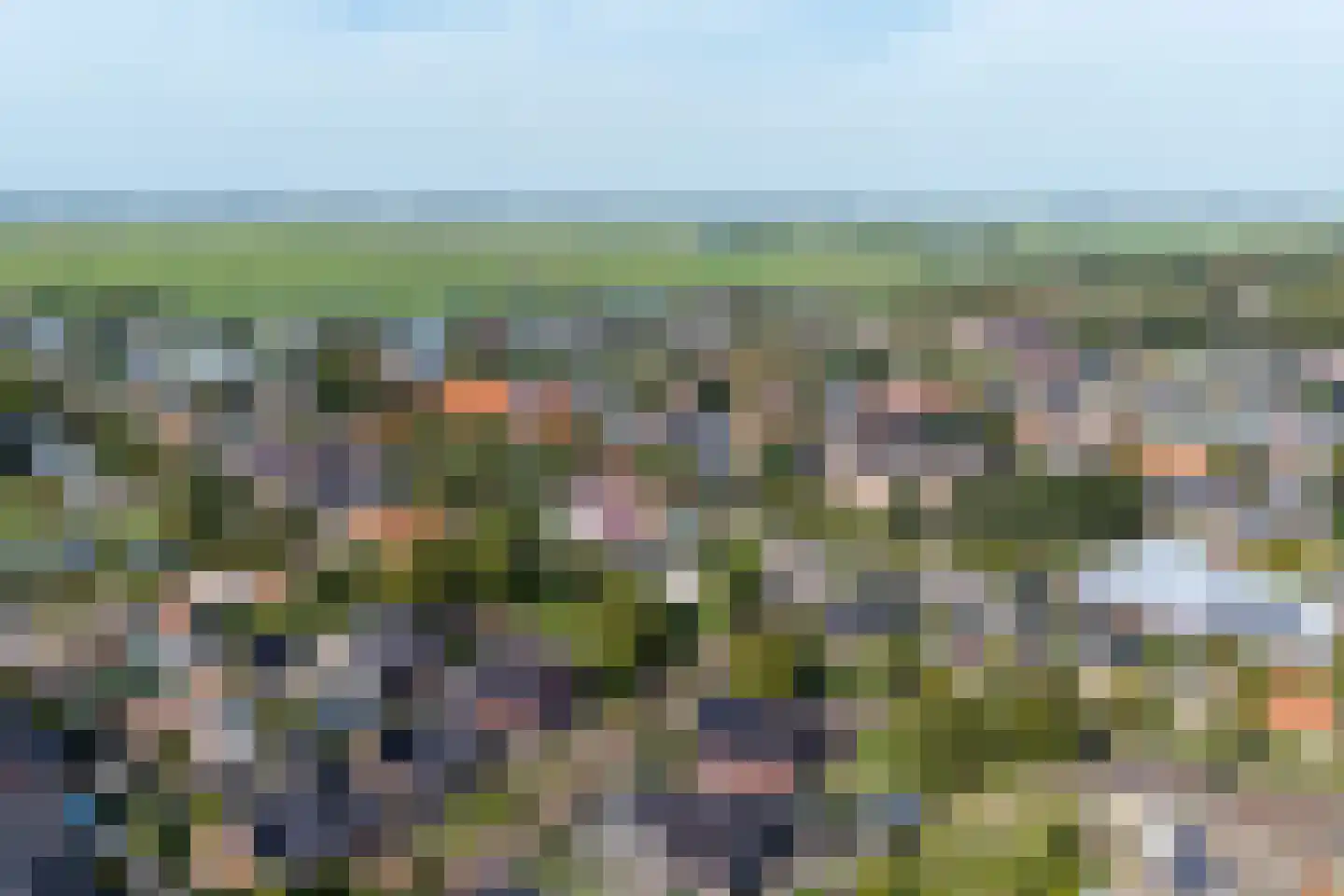 Zwarteweg 1 A Koudum thumbnail 68