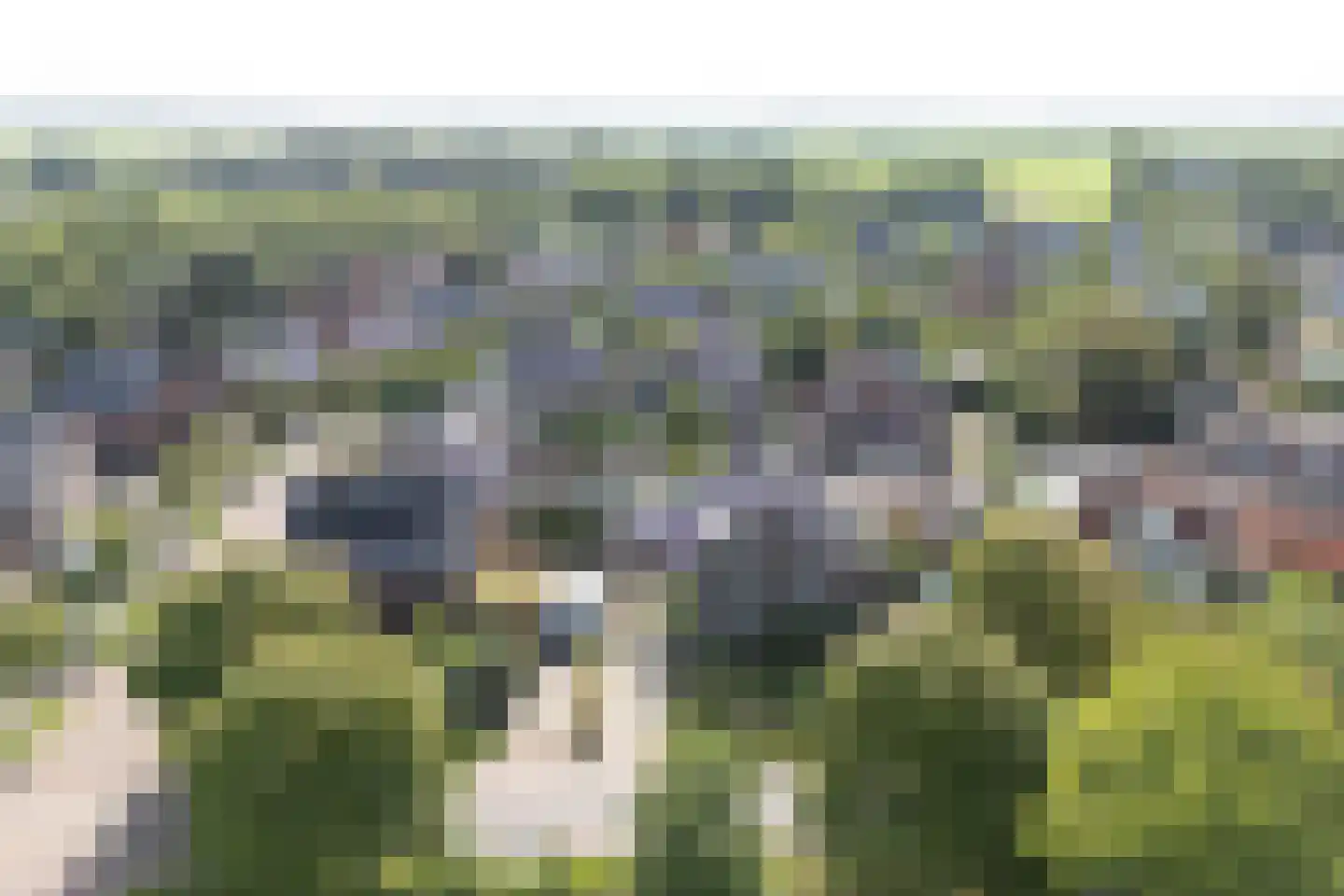 Zwarteweg 1 A Koudum thumbnail 69