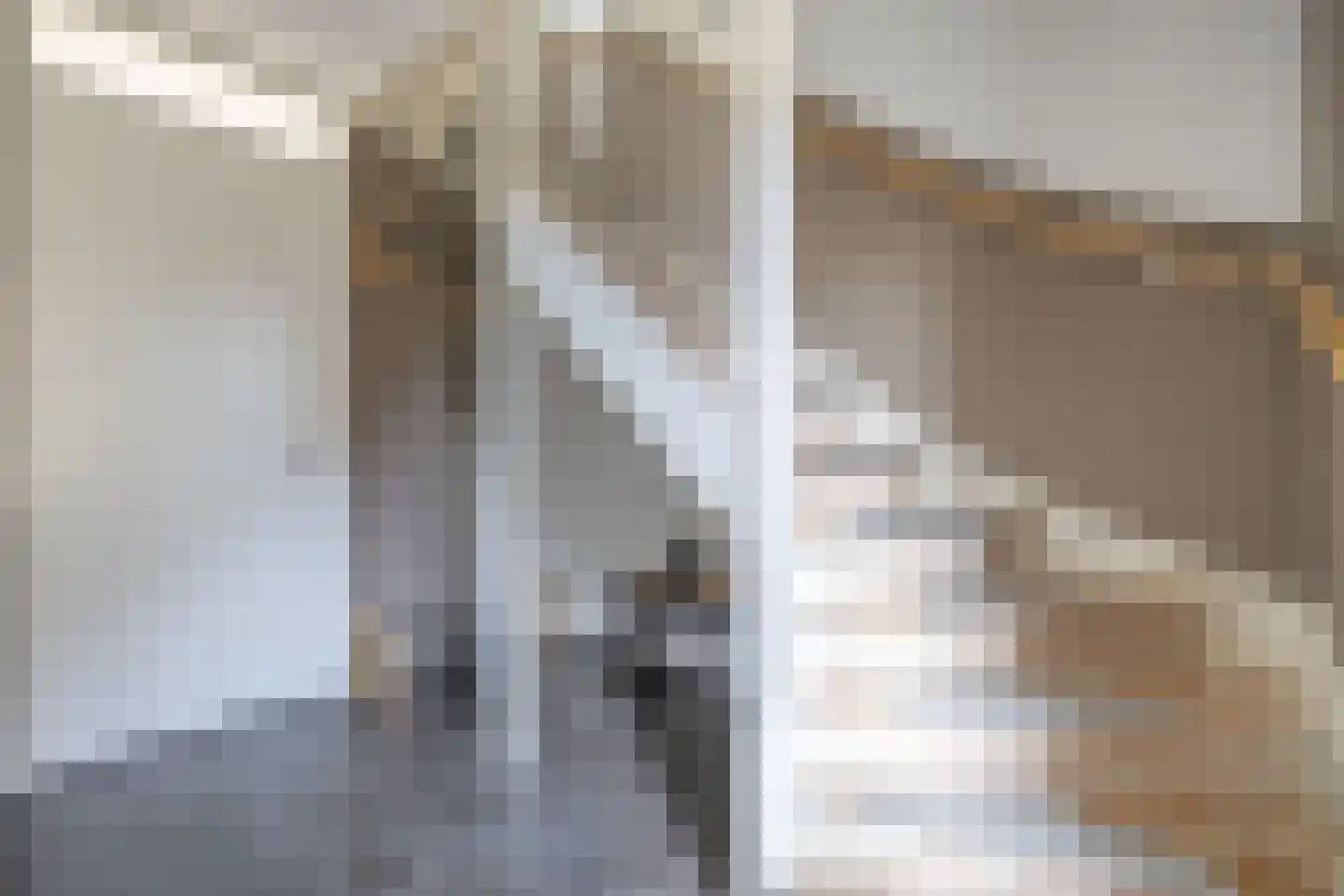 Zwarteweg 1 A Koudum thumbnail 7