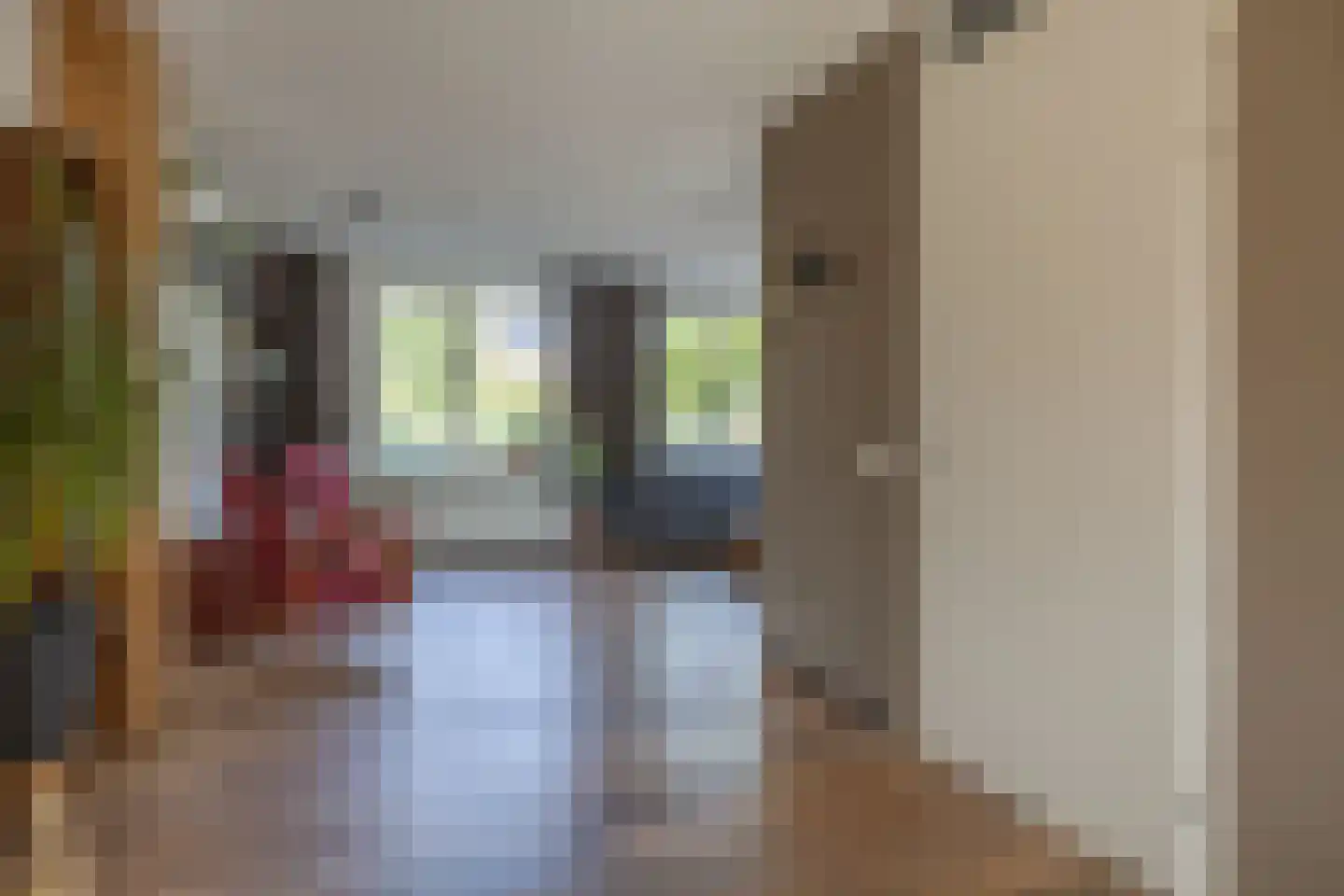 Zwarteweg 1 A Koudum thumbnail 8