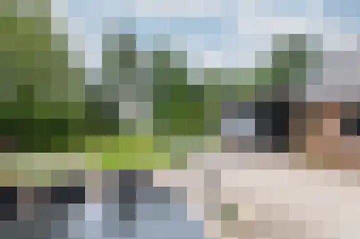 Zwarteweg 1 Groessen thumbnail 53