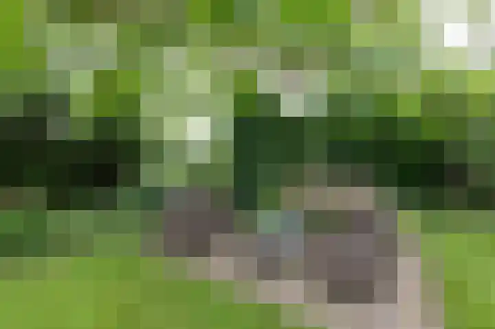Zwarteweg 1 Groessen thumbnail 60