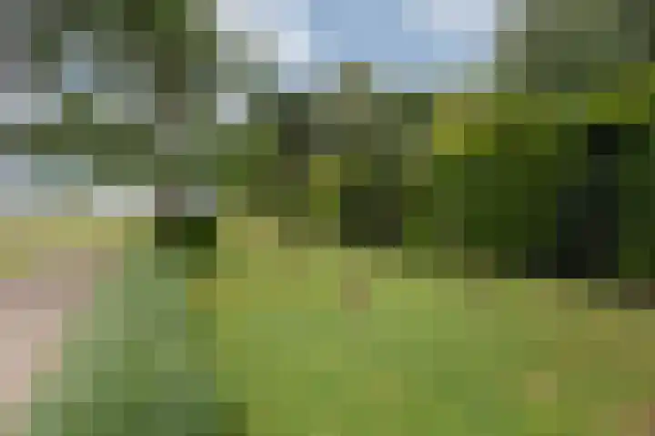 Zwarteweg 1 Groessen thumbnail 61