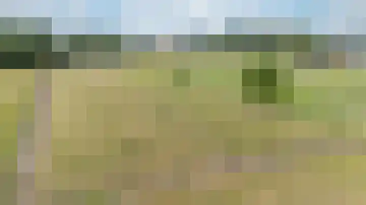 Zwarteweg 1 Groessen thumbnail 62