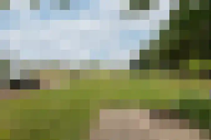 Zwarteweg 1 Groessen thumbnail 64