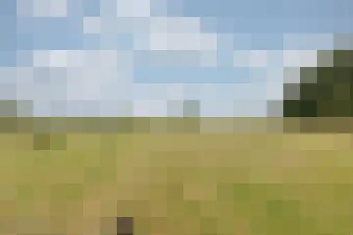 Zwarteweg 1 Groessen thumbnail 67