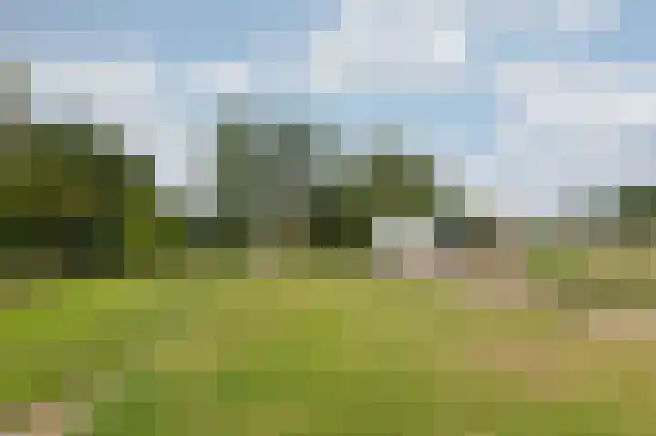 Zwarteweg 1 Groessen thumbnail 68