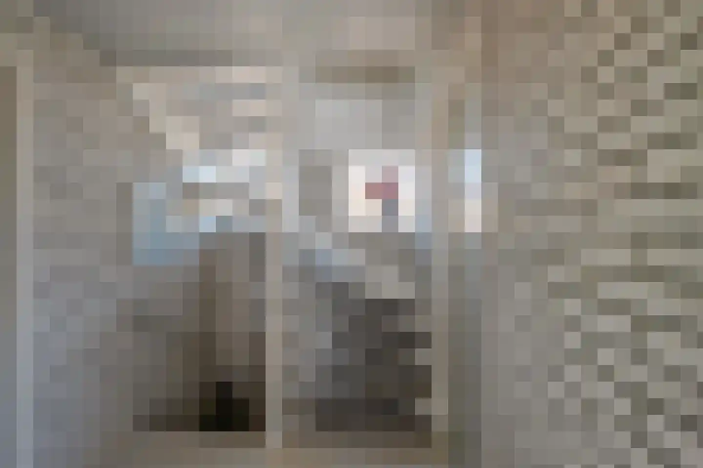 Zwarteweg 1 Rheden thumbnail 33