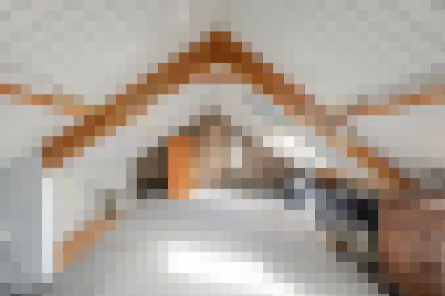 Zwarteweg 1 Rheden thumbnail 35