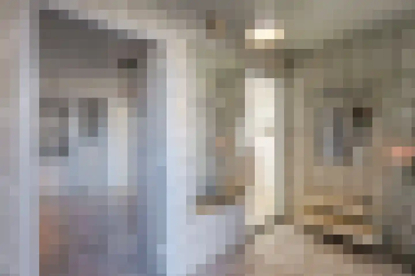 Zwarteweg 1 Rheden thumbnail 4