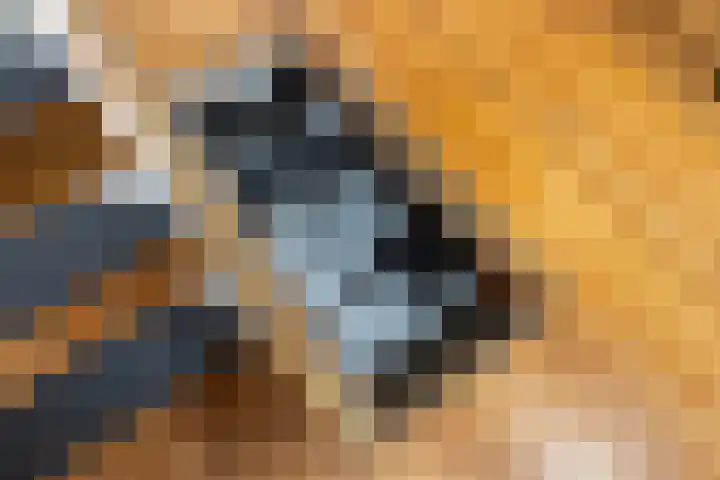 Zwarteweg 10 Groningen thumbnail 17