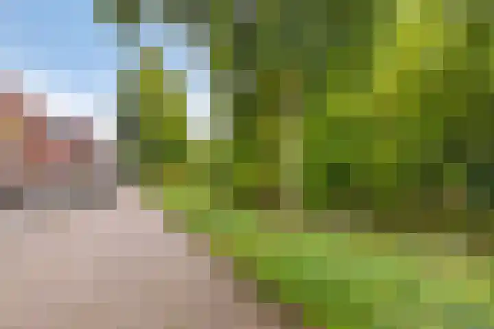 Zwarteweg 10 Groningen thumbnail 23