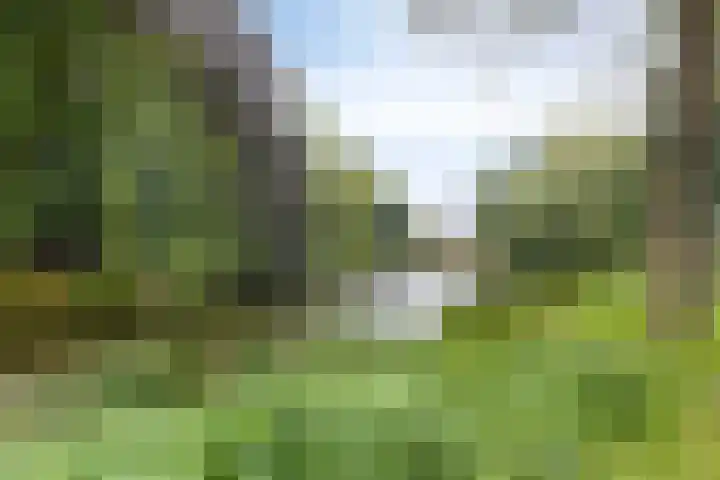Zwarteweg 10 Groningen thumbnail 24