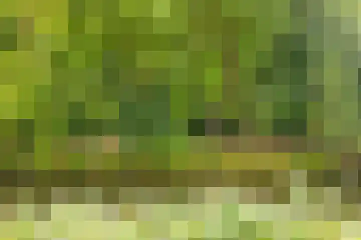 Zwarteweg 10 Groningen thumbnail 25