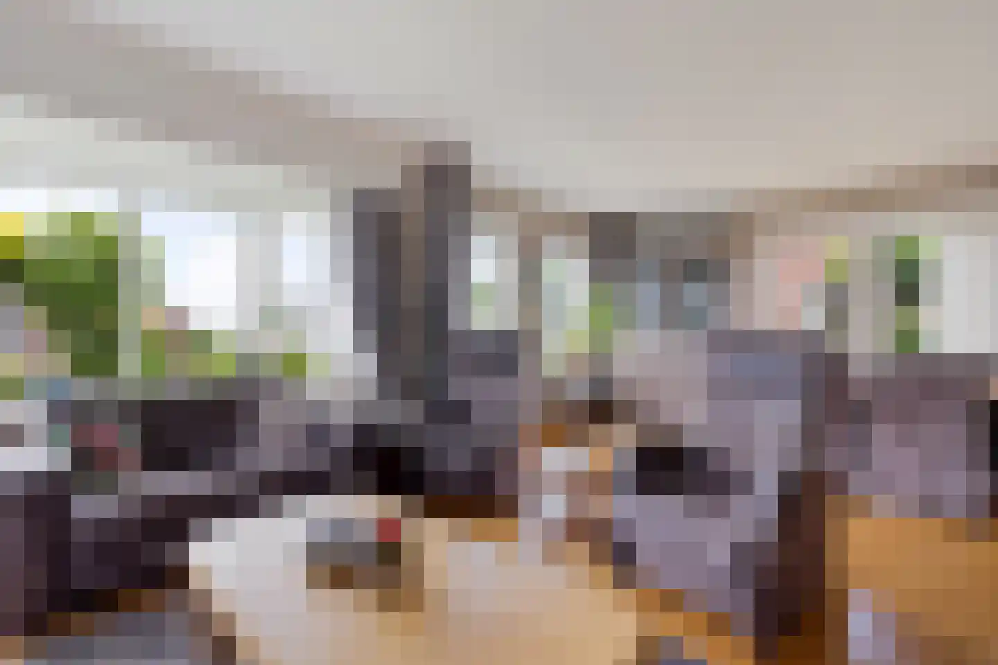 Zwarteweg 104 Nieuw-Amsterdam thumbnail 10
