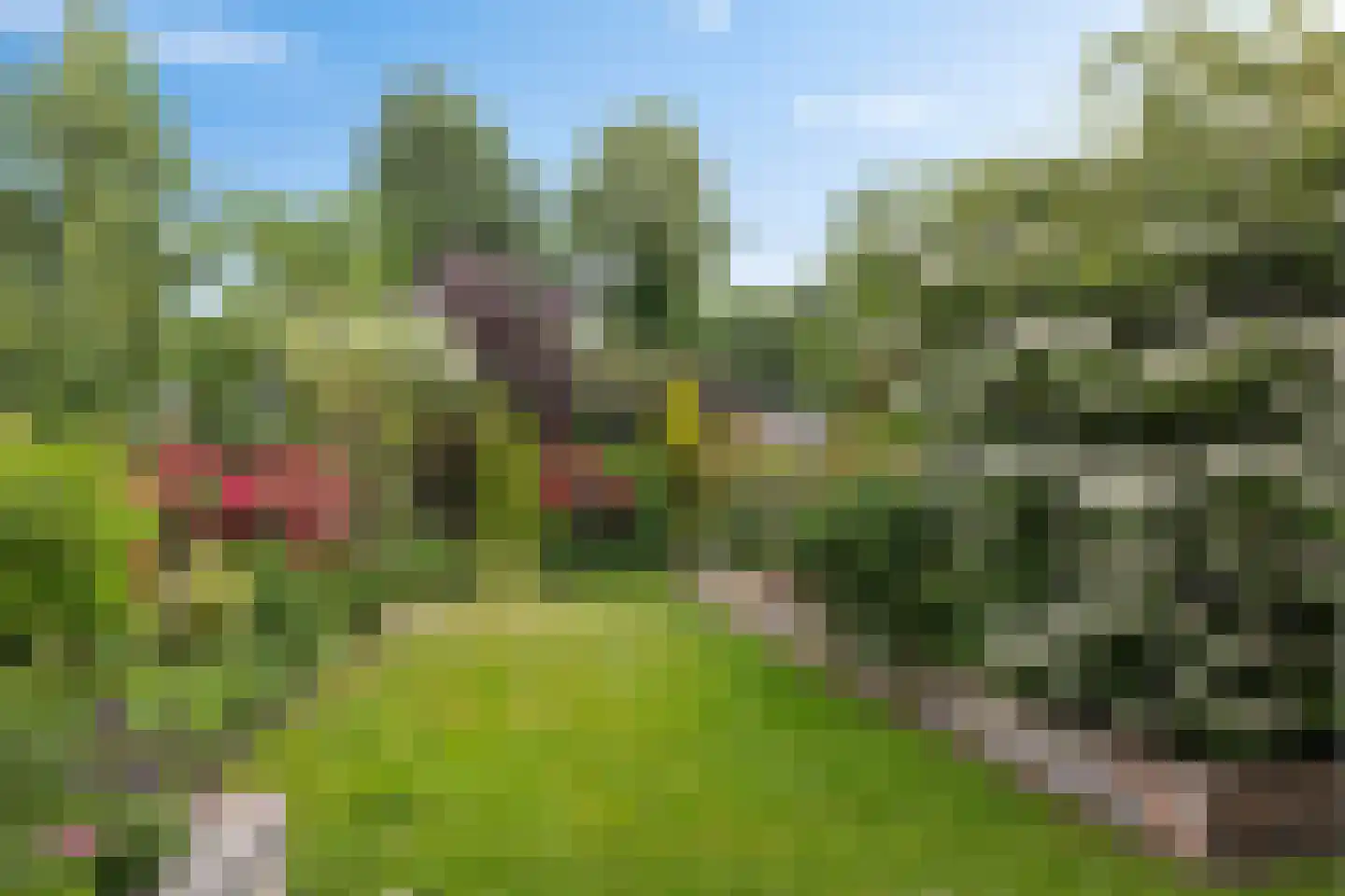 Zwarteweg 104 Nieuw-Amsterdam thumbnail 42